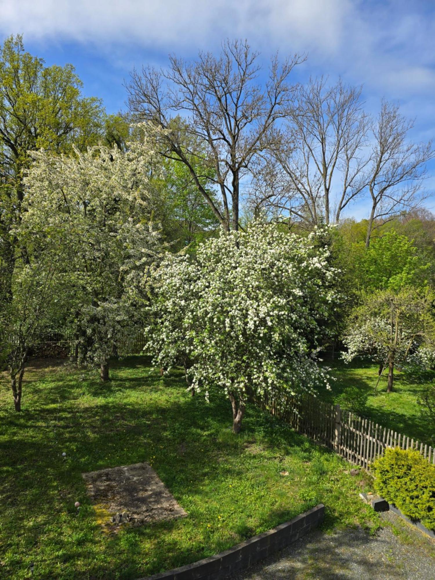 Villa Kuechwald Chemnitz Esterno foto