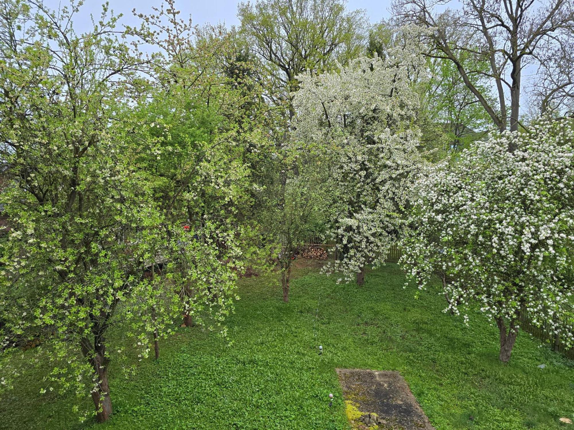 Villa Kuechwald Chemnitz Esterno foto