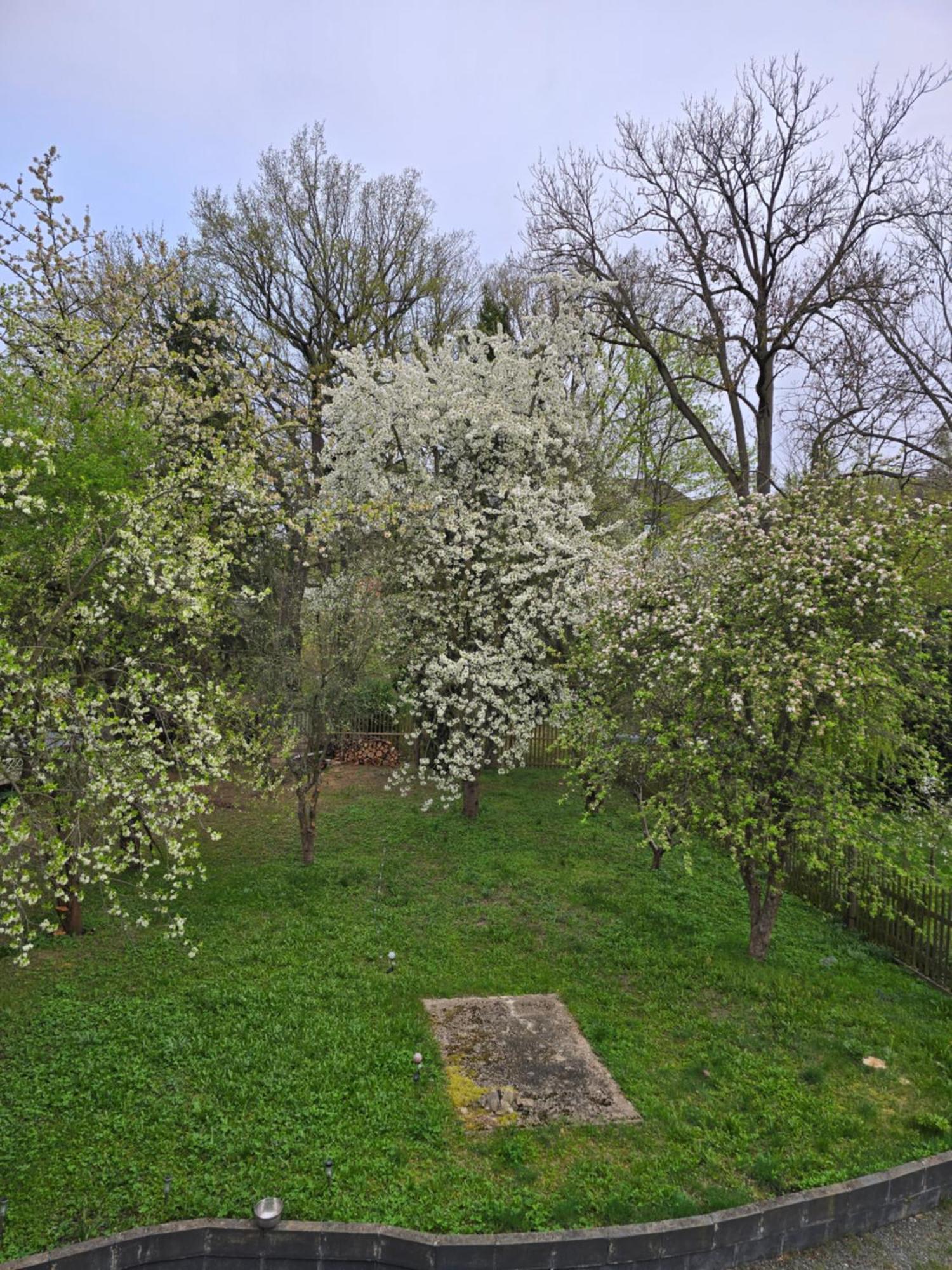 Villa Kuechwald Chemnitz Esterno foto