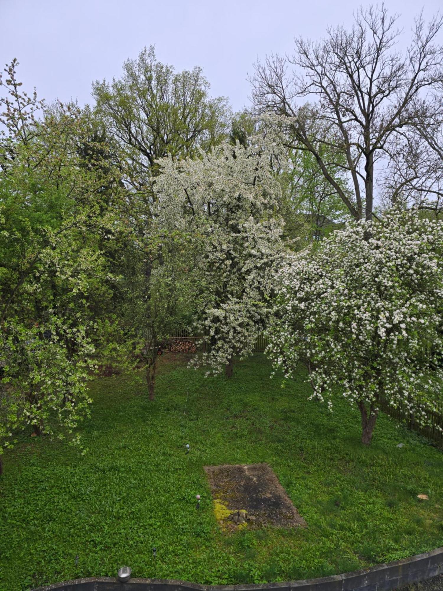 Villa Kuechwald Chemnitz Esterno foto